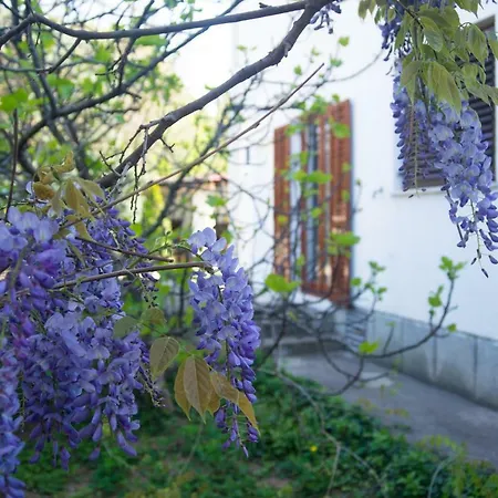 Apartament Lara *