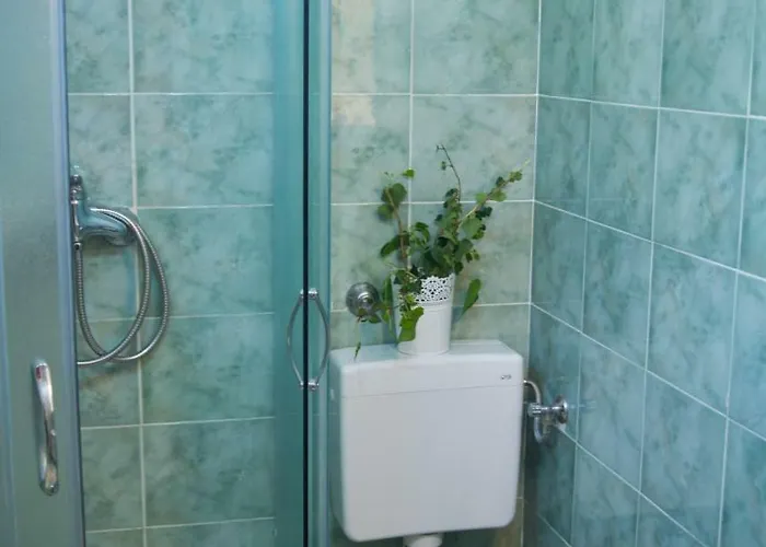 Lara كلارجيفيكا