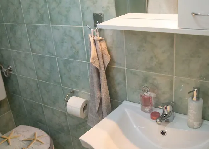 Lara كلارجيفيكا